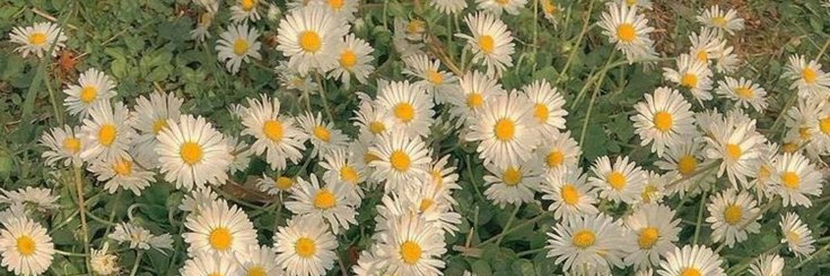 rooz078's profile banner image