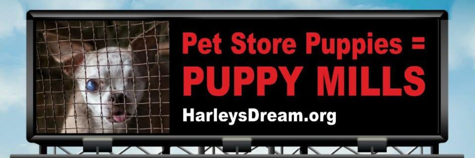 Harley's Dream banner