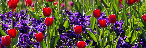 Michell43564608 Profile Banner