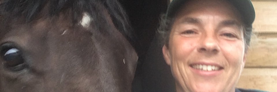 AngelaBishop33's profile banner image