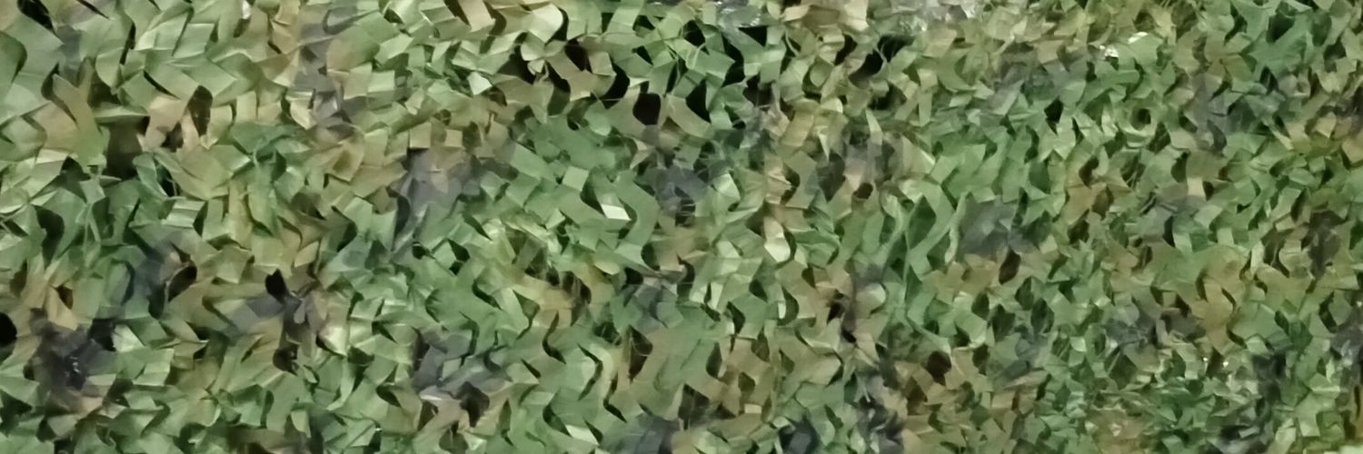 LiraZed's profile banner image