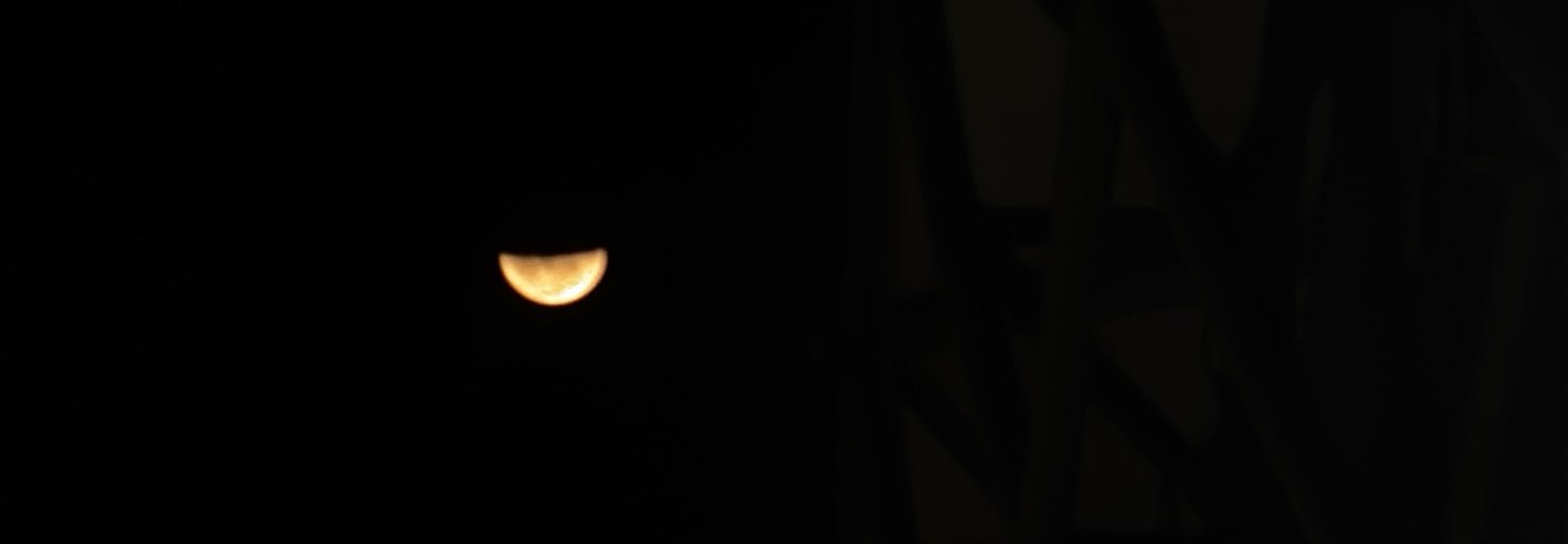 nxtshxll's profile banner image