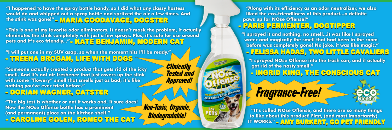 NOseOffensePets's profile banner image