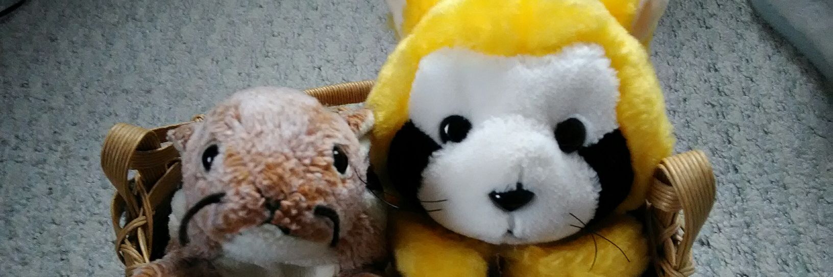 Tomiyo88's profile banner image