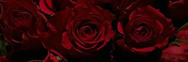 MinetteCrevette's profile banner image