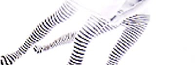 . banner