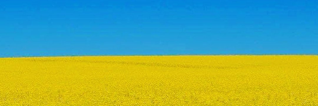 🇺🇦Fred🇺🇦 banner