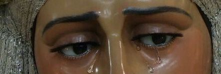 Imaginero Labrador banner