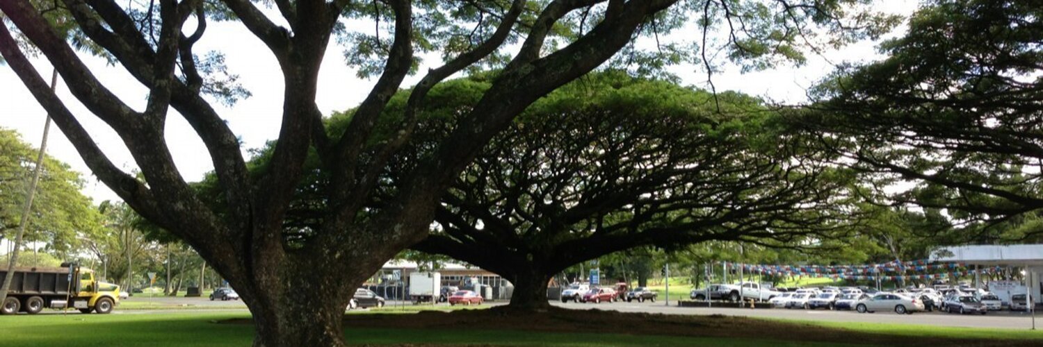 graygardener's profile banner image