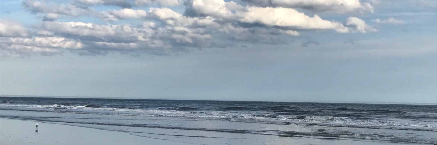 lg217's profile banner image