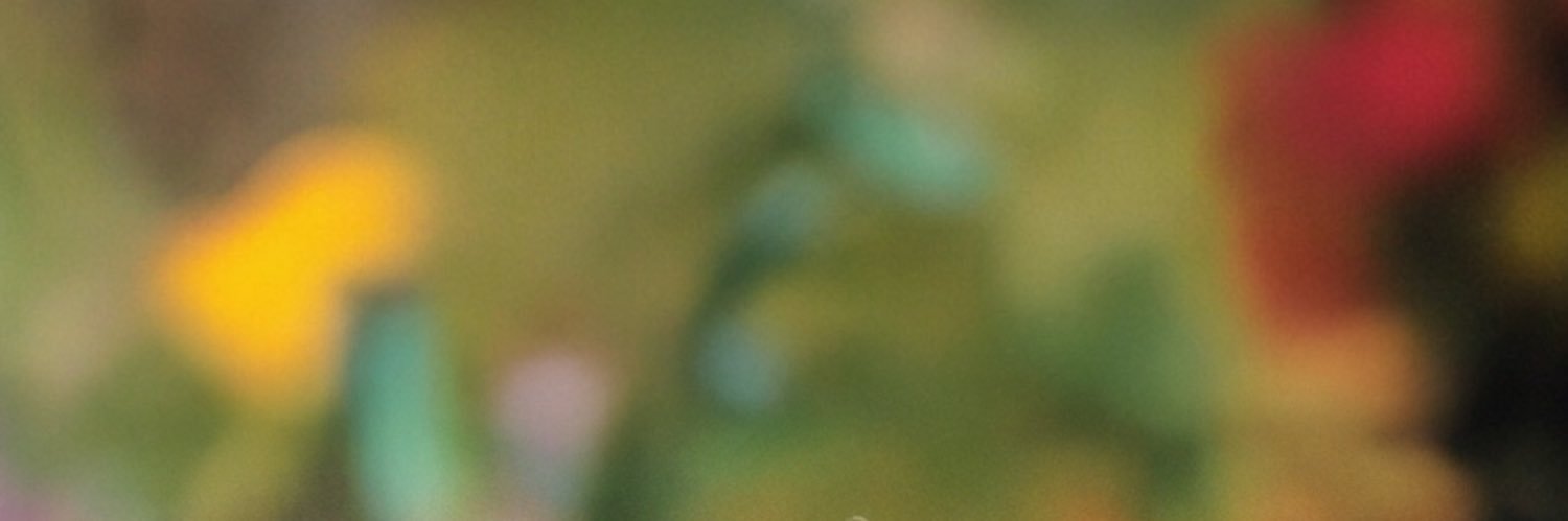 daysofourlivesclassics banner