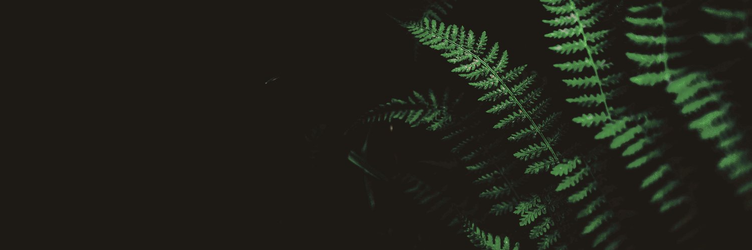 it repeats.'s banner