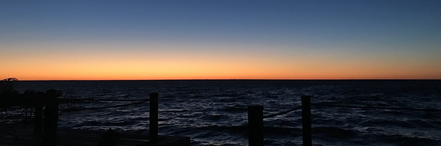 D_Zimp's profile banner image