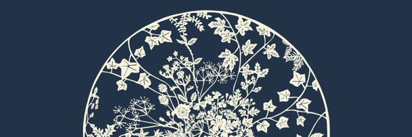 hanthethinks Profile Banner