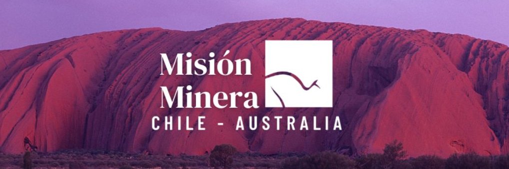 AUSCHAM Chile banner