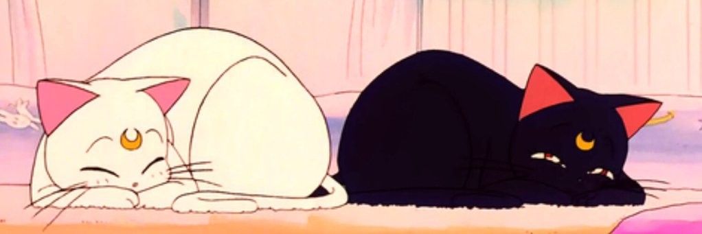 renochocho's profile banner image
