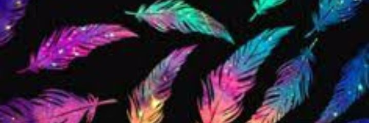 AymanNehal's profile banner image