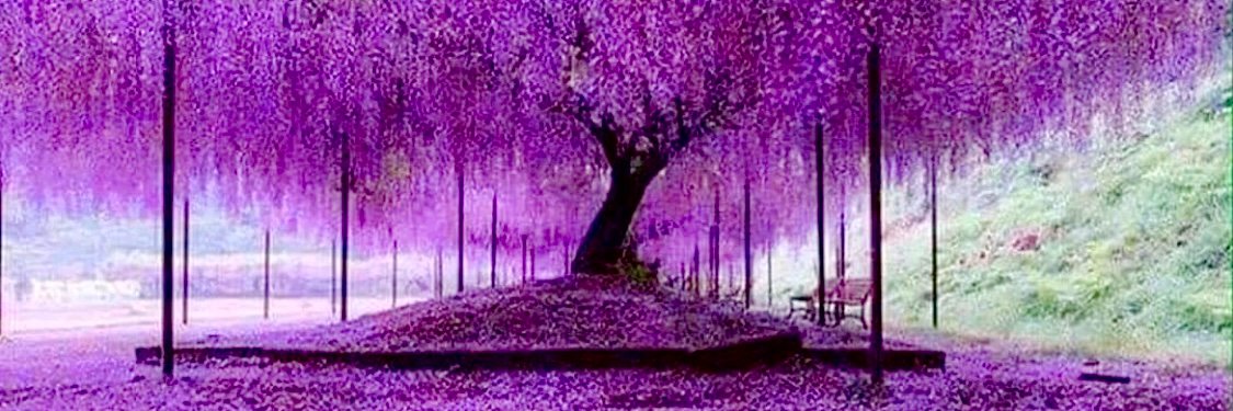 EvaLardani's profile banner image