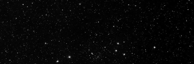Xenometic banner