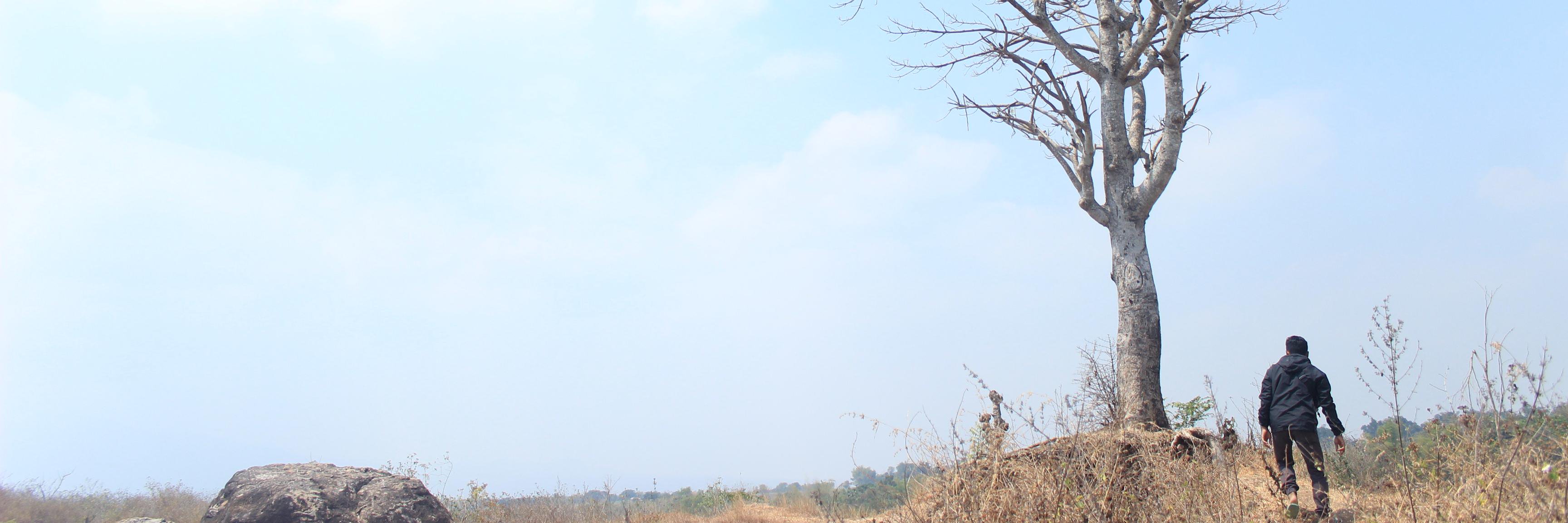 ?? banner