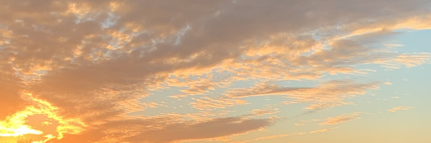 jdenicec's profile banner image