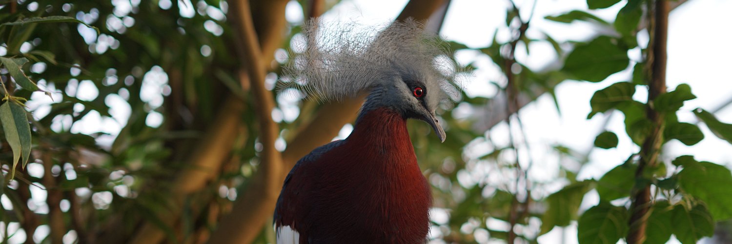 Can't think of a good name banner