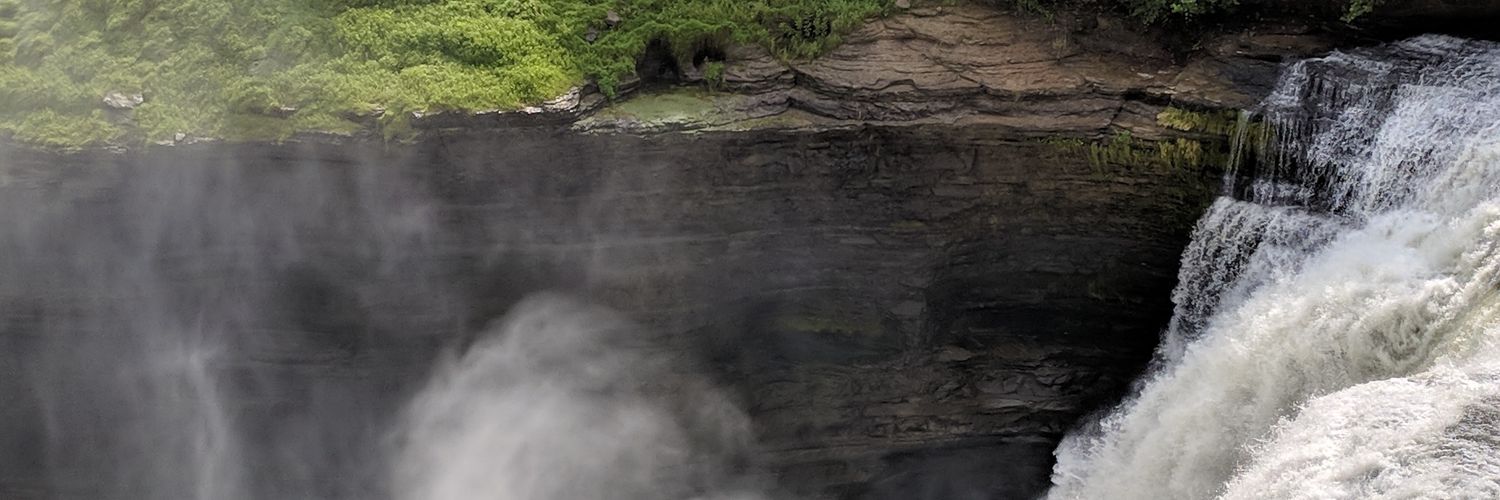 LShallenberger's profile banner image