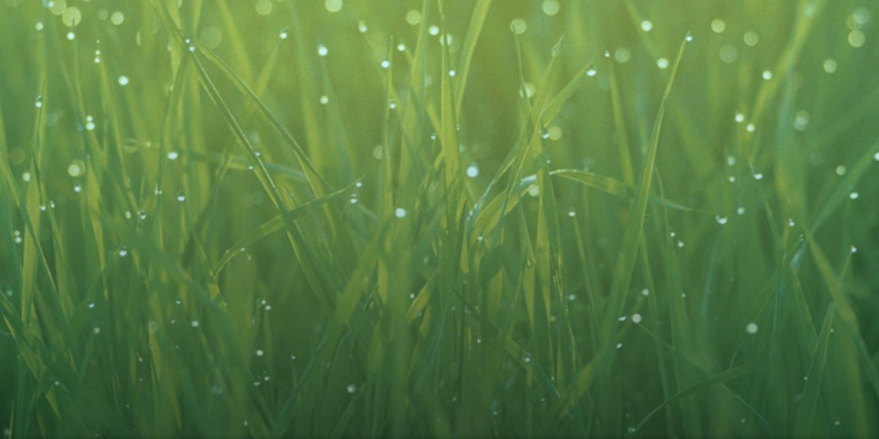 OneStopCrafting's profile banner image