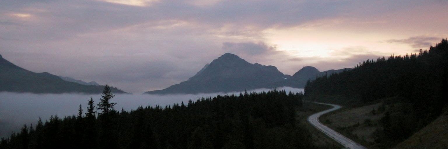 Megan Shortreed banner