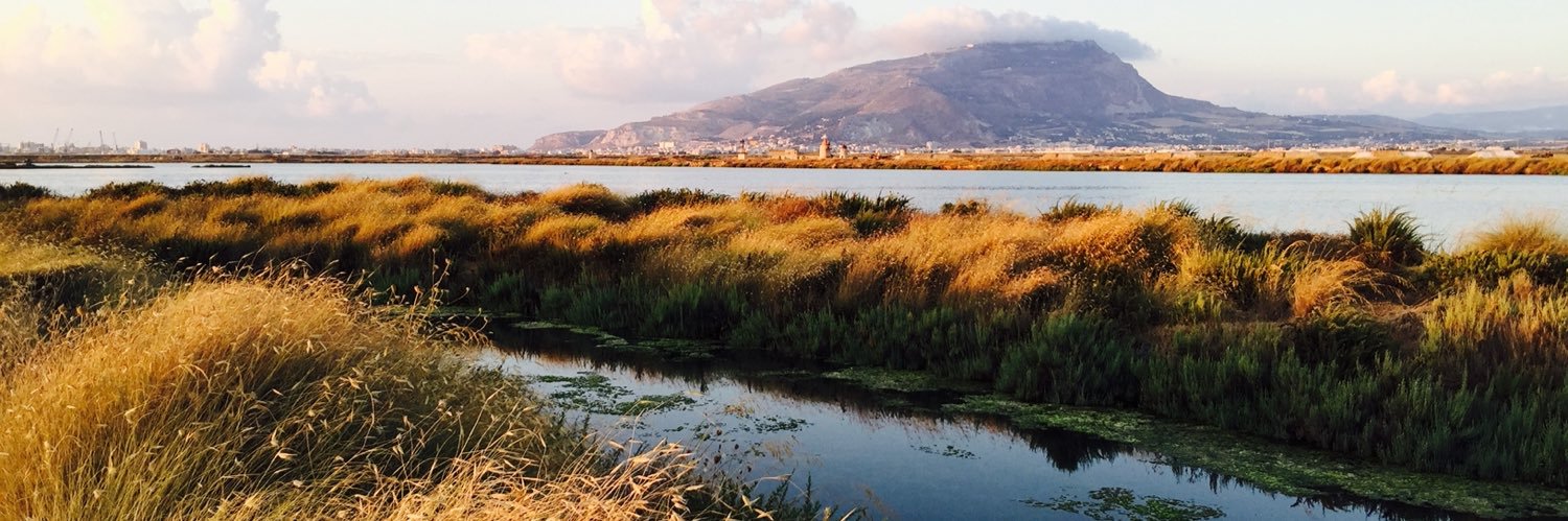 Dr Andrew Salerno-Garthwaite FRGS banner