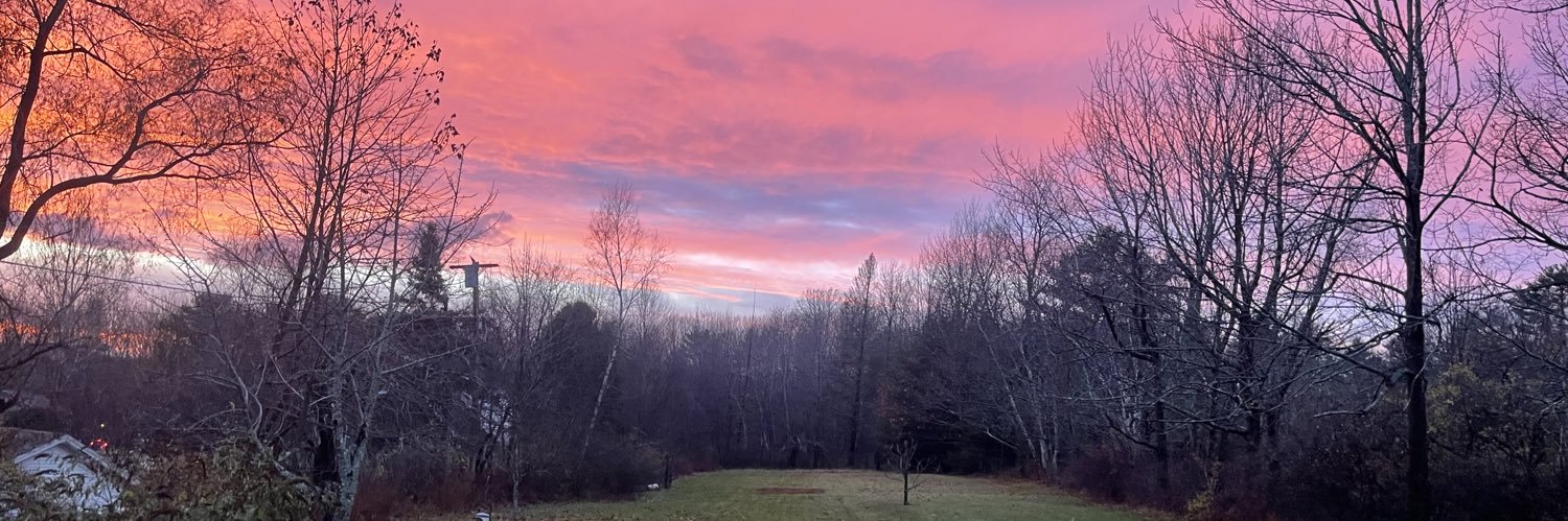 Nevernot🌱💙.one banner