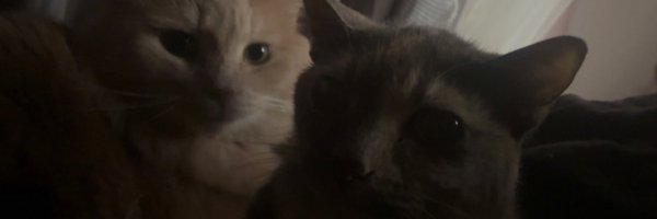 philip Profile Banner