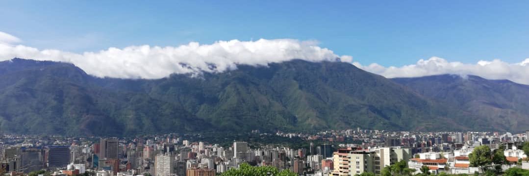 lisetluque's profile banner image