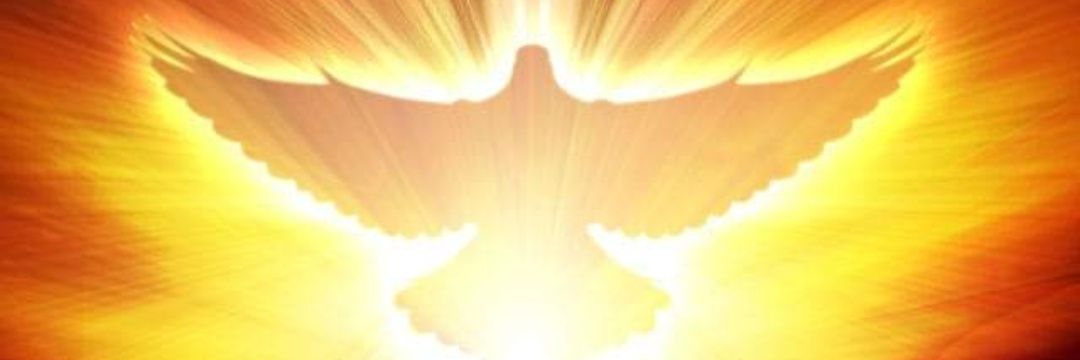 1_alfred's profile banner image