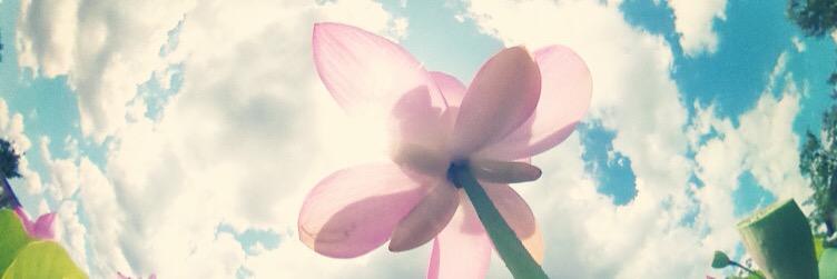 moka21's profile banner image