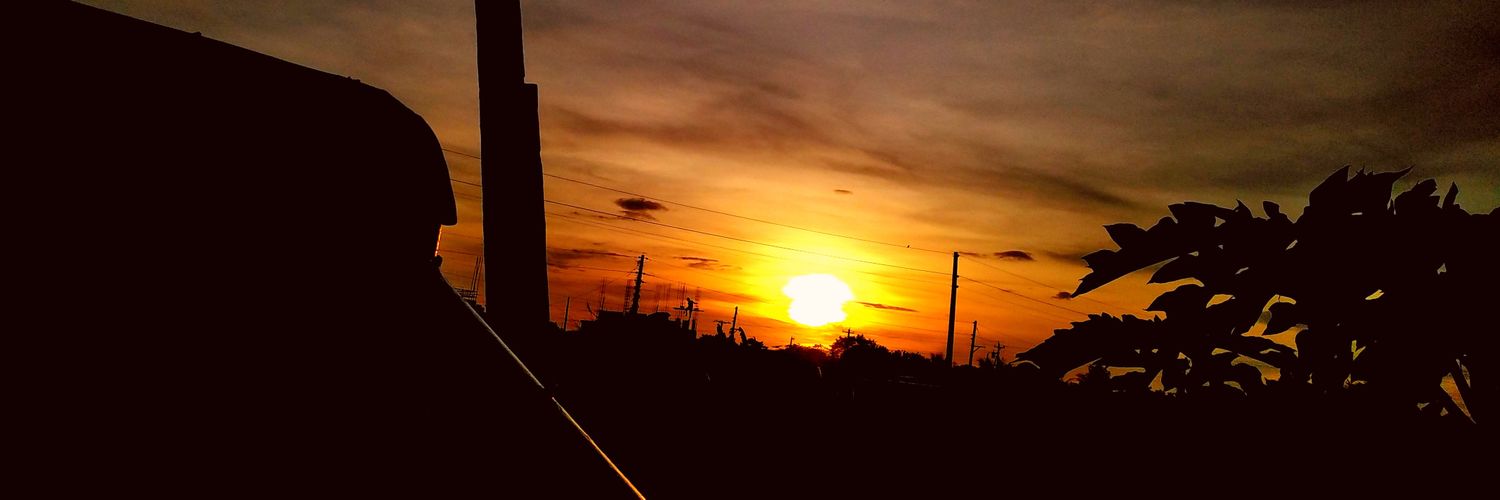 Ricsson Oñasa banner