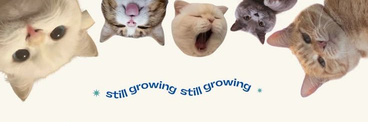 caca maba era ୨ৎ banner