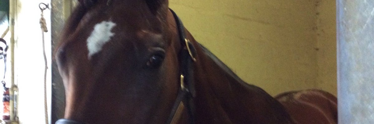 Lenny banner
