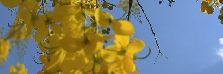 ALImerce23's profile banner image