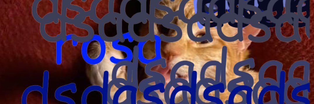 RosaConsistent's profile banner image