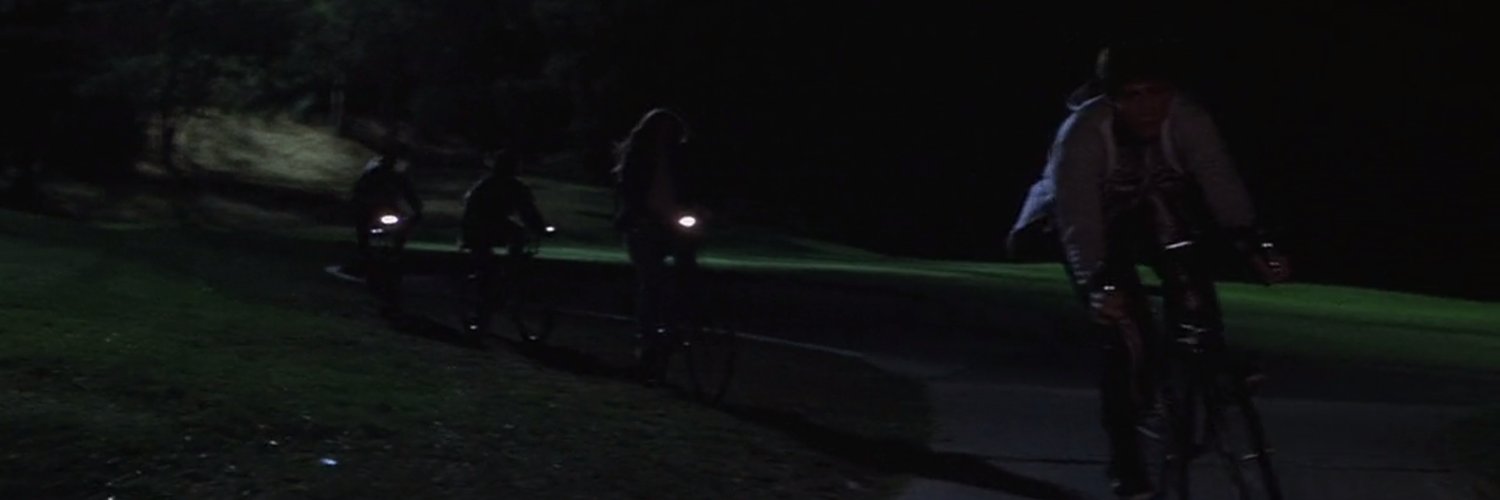 Virginia Balseiro banner