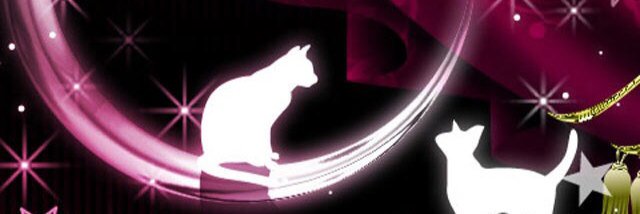 paratako's profile banner image