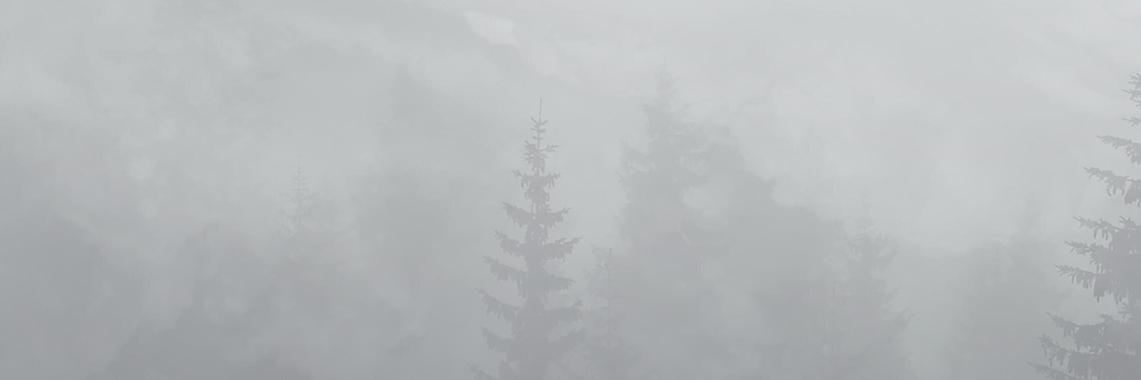 johnnotdan's profile banner image