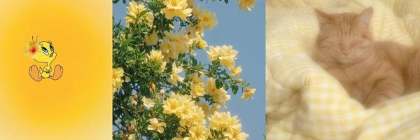 richkipichki Profile Banner