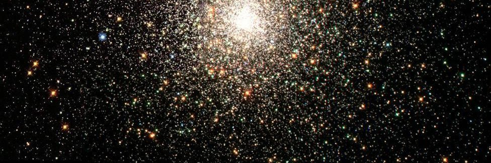 Tim McCallum 🇦🇺 🤖 🦀 🐍 banner