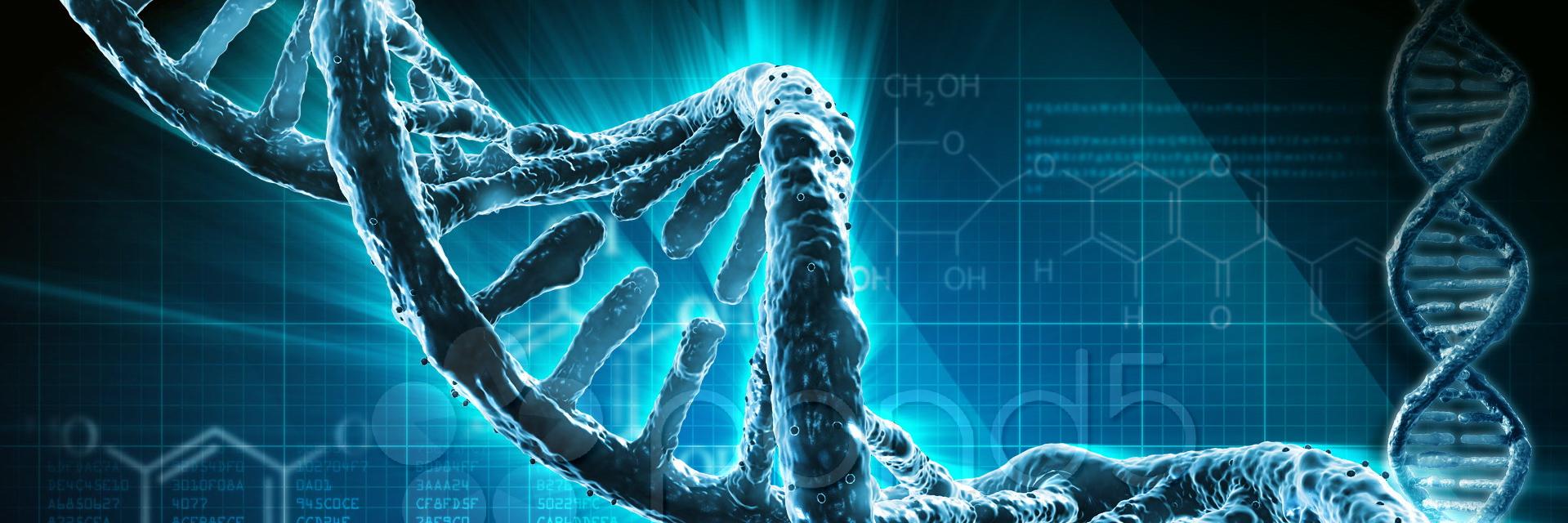 RontgenBudi's profile banner image