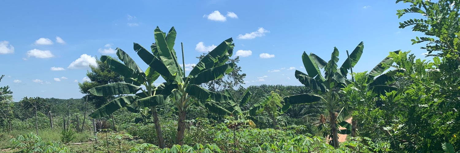 Angela Serrano Zapata banner