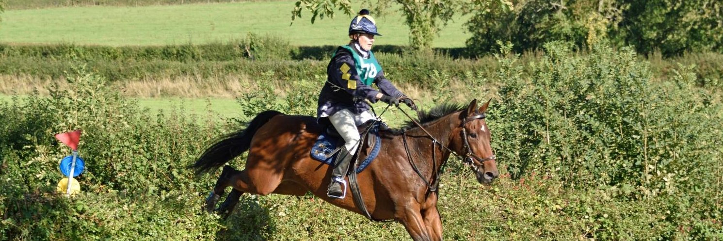 Lucy HT 🕷️💙 banner