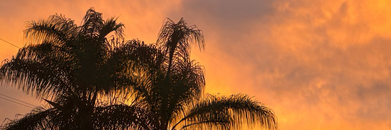 Carolandiaglam's profile banner image