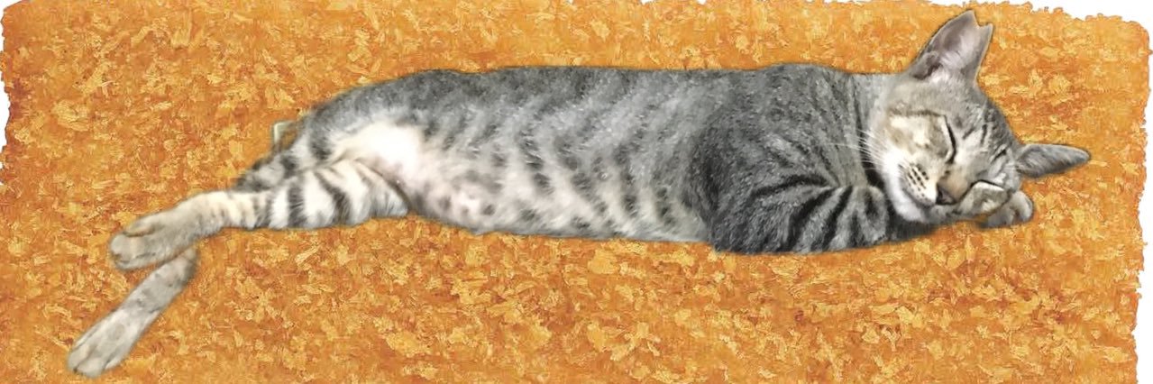 ifif34's profile banner image